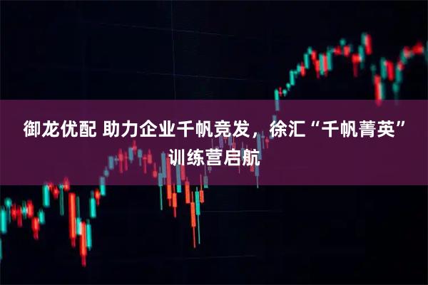 御龙优配 助力企业千帆竞发，徐汇“千帆菁英”训练营启航
