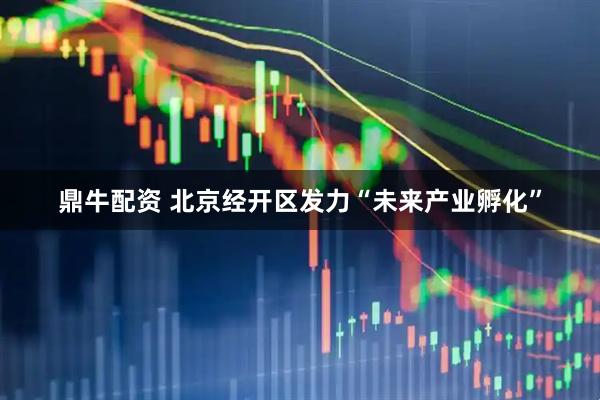 鼎牛配资 北京经开区发力“未来产业孵化”