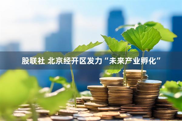 股联社 北京经开区发力“未来产业孵化”