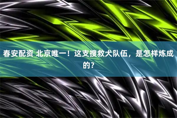 春安配资 北京唯一！这支搜救犬队伍，是怎样炼成的？