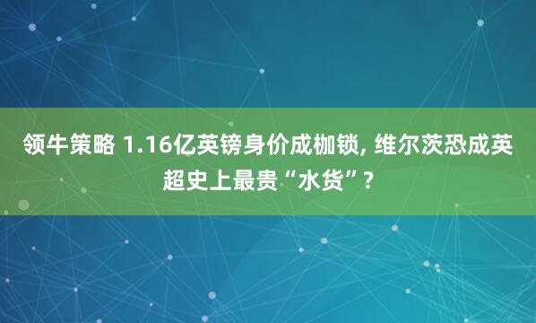 领牛策略 1.16亿英镑身价成枷锁, 维尔茨恐成英超史上最贵“水货”?